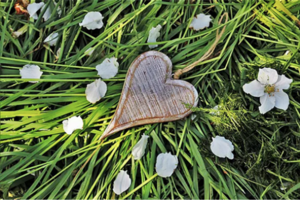 Leading with Love vs. Leading with Fear